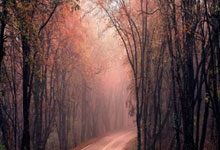 新加坡网球邀请杯决赛：我国团队捧回冠军杯.