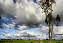 体育时评：马拉松不能跑“偏”了.