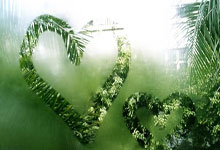 特雷杨31+8丹尼尔斯22分 老鹰多点开花大胜黄蜂.