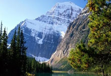 南宫28：国足错失2王牌？曝前恒大+泰山外援险被归化 薪资6500万无队接手.