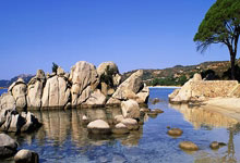 南宫28：71岁伊万赌对了：4名“菜鸟”全部闪光，王钰栋破门 ，国足好消息.